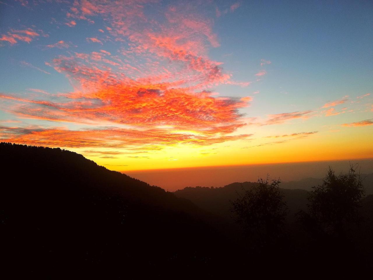 The Unmad, Dharamkot Hotel ดารัมซาลา ภายนอก รูปภาพ